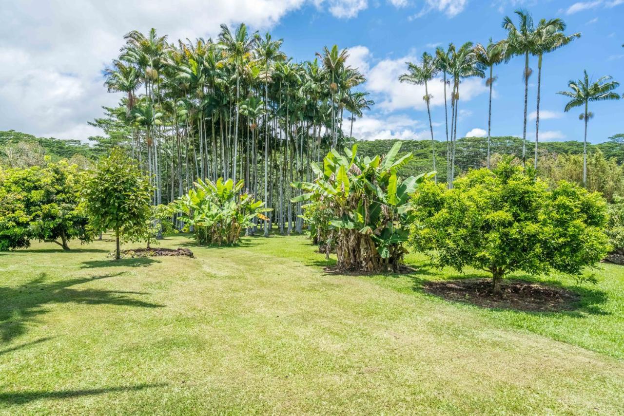 Old Hawaiian Bed And Breakfast Hilo Eksteriør billede