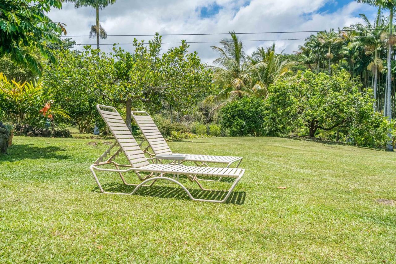 Old Hawaiian Bed And Breakfast Hilo Eksteriør billede