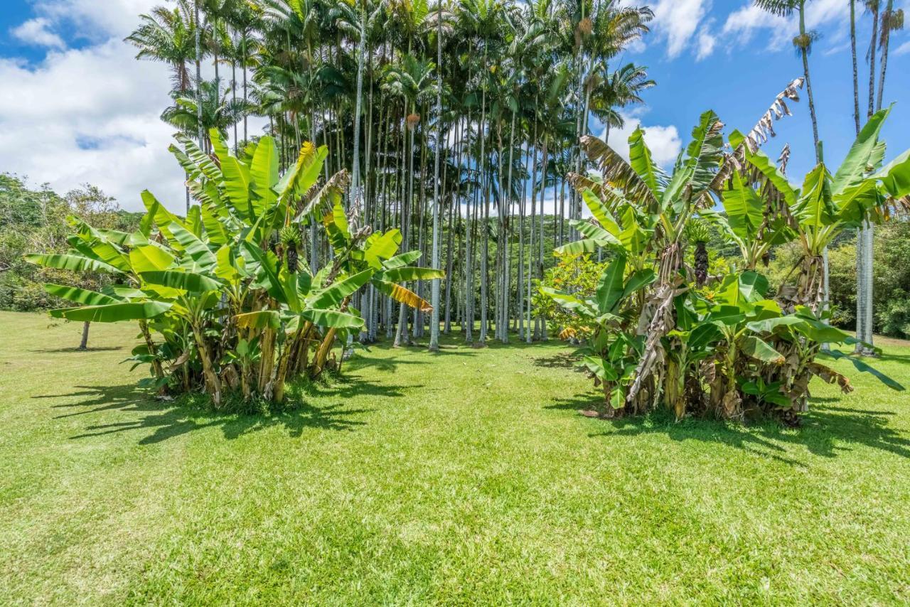 Old Hawaiian Bed And Breakfast Hilo Eksteriør billede